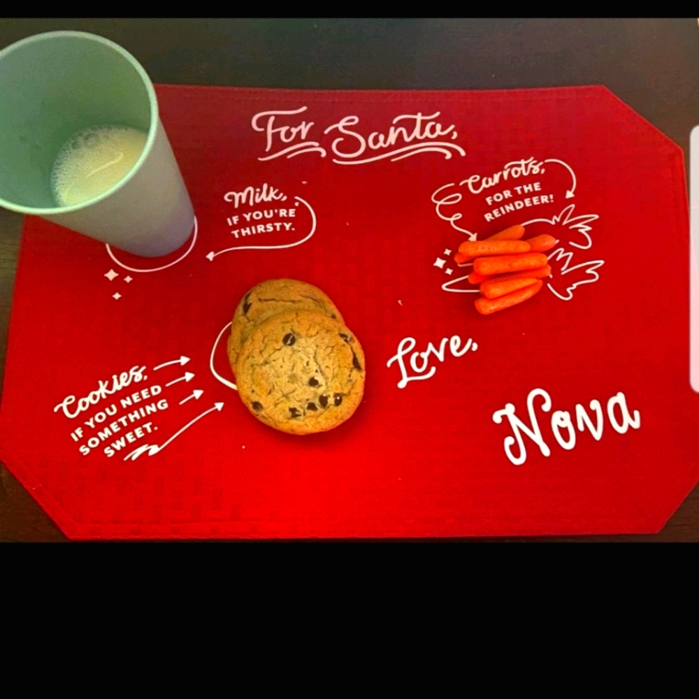 Custom made Santa Snack Placemats